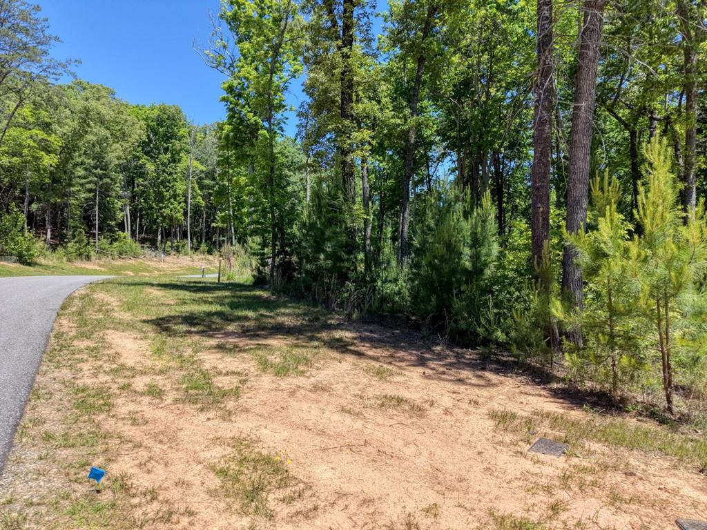Lot 165 Highland Park Blairsville GA 30512