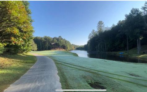 Lt 88 Shenandoah Drive Ellijay GA 30540