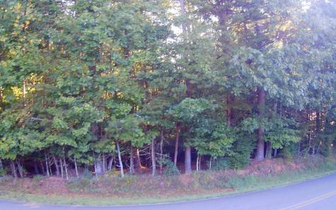 Lt 88 Shenandoah Drive Ellijay GA 30540