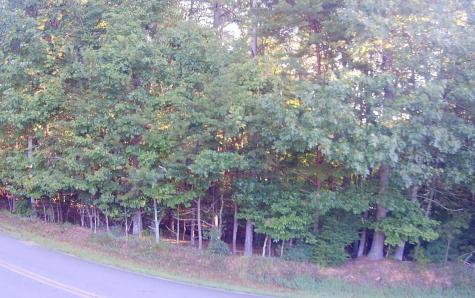 Lt 88 Shenandoah Drive Ellijay GA 30540