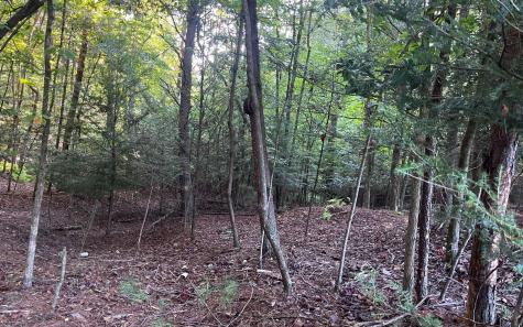 Lt 88 Shenandoah Drive Ellijay GA 30540
