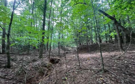 Lt 88 Shenandoah Drive Ellijay GA 30540