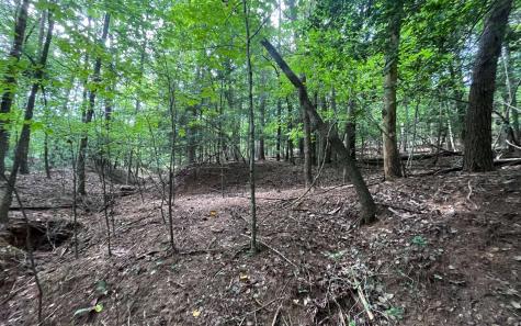 Lt 88 Shenandoah Drive Ellijay GA 30540