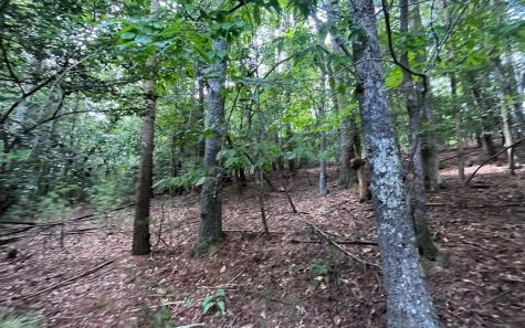 Lt 88 Shenandoah Drive Ellijay GA 30540