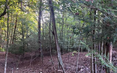 Lt 88 Shenandoah Drive Ellijay GA 30540