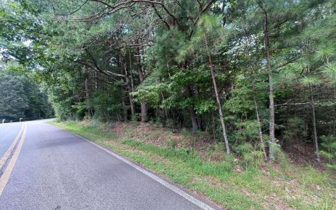 Lt 88 Shenandoah Drive Ellijay GA 30540