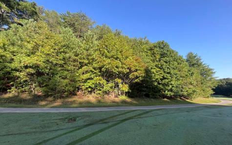 Lt 88 Shenandoah Drive Ellijay GA 30540