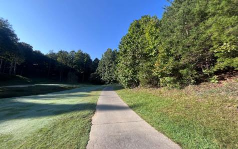 Lt 88 Shenandoah Drive Ellijay GA 30540