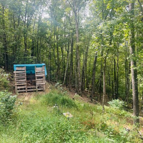 1005 Cliff Raper Road Murphy NC 28906