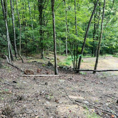 1005 Cliff Raper Road Murphy NC 28906