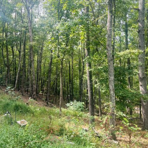 1005 Cliff Raper Road Murphy NC 28906