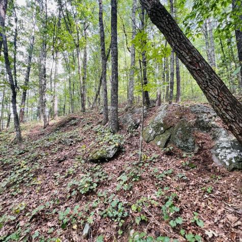 1005 Cliff Raper Road Murphy NC 28906