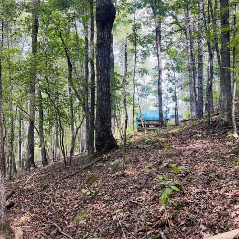 1005 Cliff Raper Road Murphy NC 28906