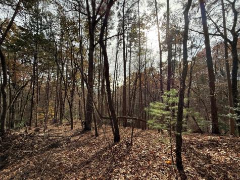 12 North Ridge Drive Ellijay GA 30540