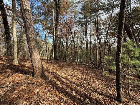 12 North Ridge Drive Ellijay GA 30540