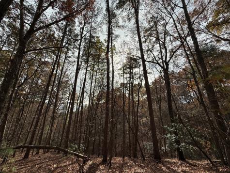 12 North Ridge Drive Ellijay GA 30540