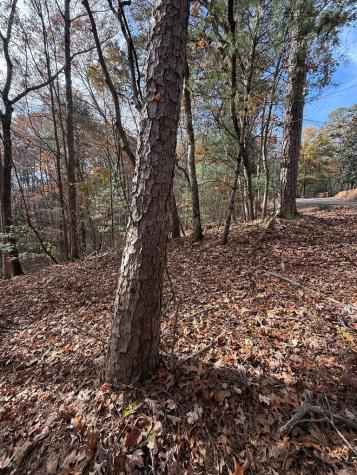 12 North Ridge Drive Ellijay GA 30540