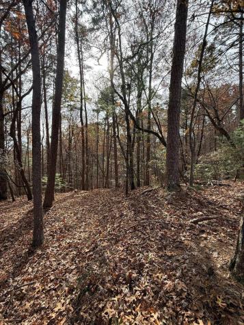 12 North Ridge Drive Ellijay GA 30540