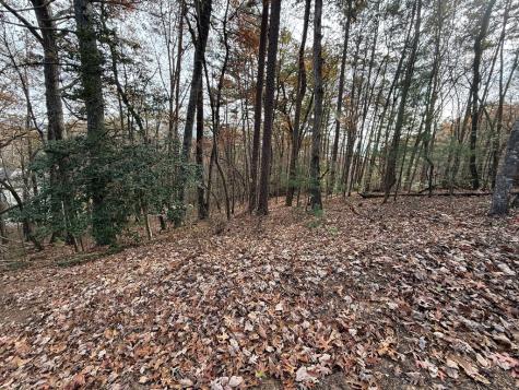 12 North Ridge Drive Ellijay GA 30540