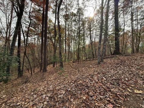 12 North Ridge Drive Ellijay GA 30540