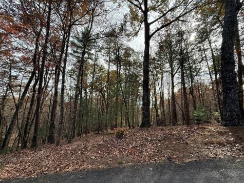 12 North Ridge Drive Ellijay GA 30540