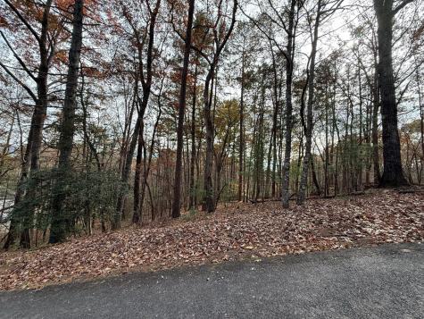 12 North Ridge Drive Ellijay GA 30540