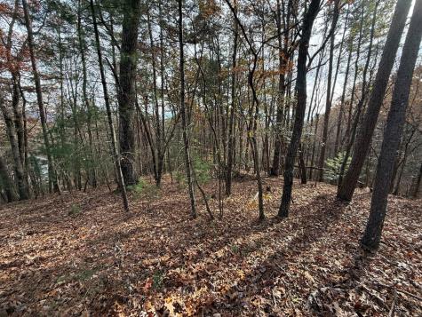 12 North Ridge Drive Ellijay GA 30540