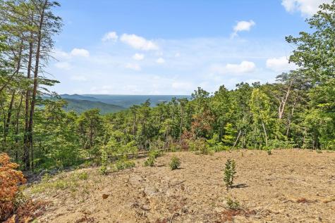 4404 Highway 52 Chatsworth GA 30705