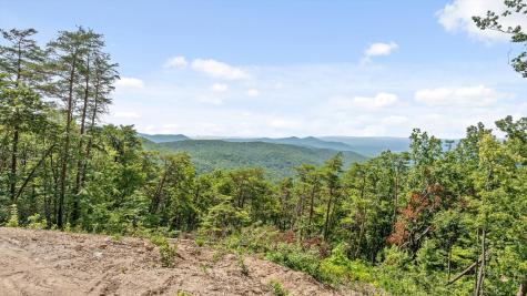 4404 Highway 52 Chatsworth GA 30705