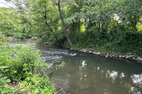 Lot 50 Brasstown Trail Warne NC 28909