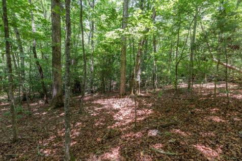 6 Ac Solar Drive Blue Ridge GA 30513