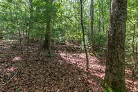 6 Ac Solar Drive Blue Ridge GA 30513