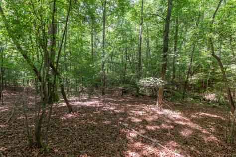 6 Ac Solar Drive Blue Ridge GA 30513