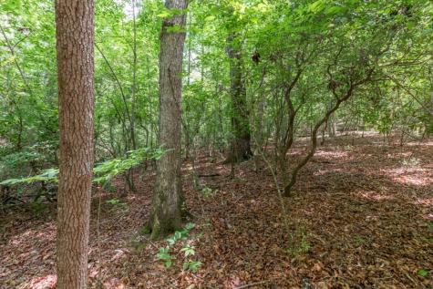 6 Ac Solar Drive Blue Ridge GA 30513