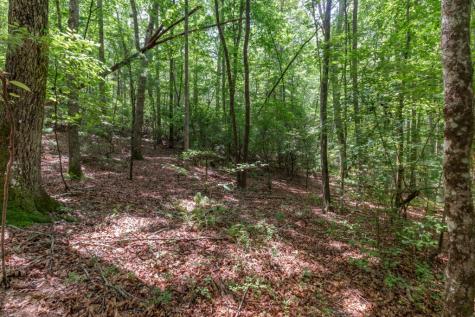 6 Ac Solar Drive Blue Ridge GA 30513