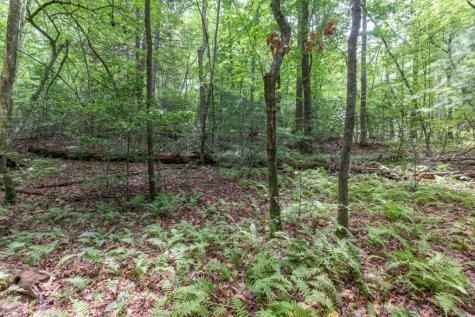 6 Ac Solar Drive Blue Ridge GA 30513