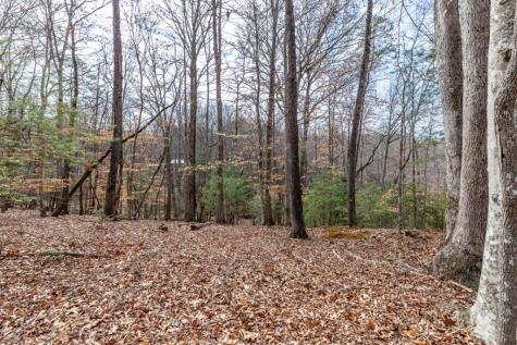 Lots 7&8 Zion Way Blairsville GA 30512