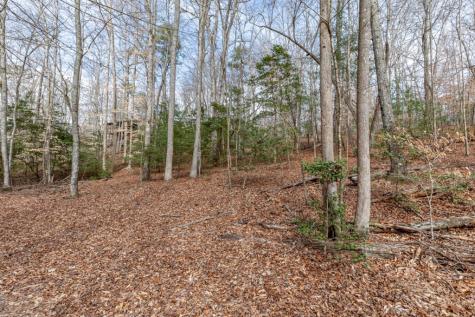 Lots 7&8 Zion Way Blairsville GA 30512