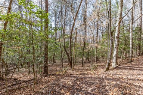 Lots 7&8 Zion Way Blairsville GA 30512