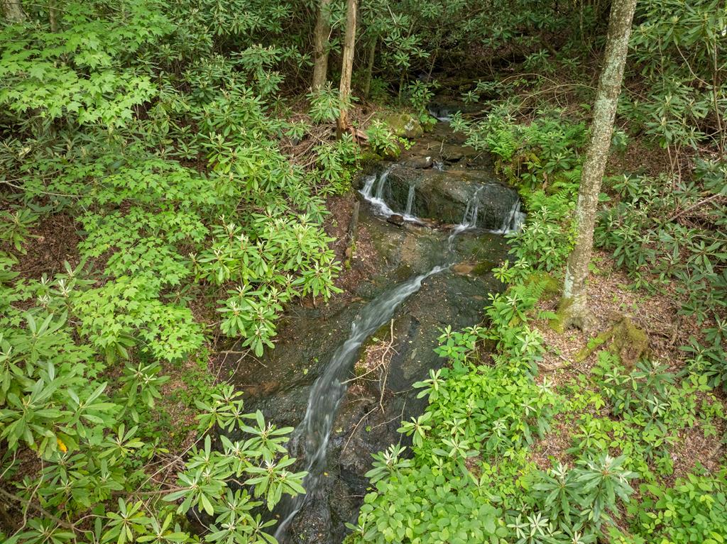 00 Walnut Cove Road Robbinsville NC 28771