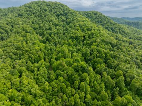 00 Walnut Cove Road Robbinsville NC 28771