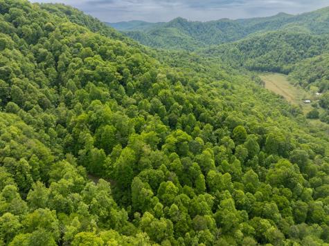 00 Walnut Cove Road Robbinsville NC 28771