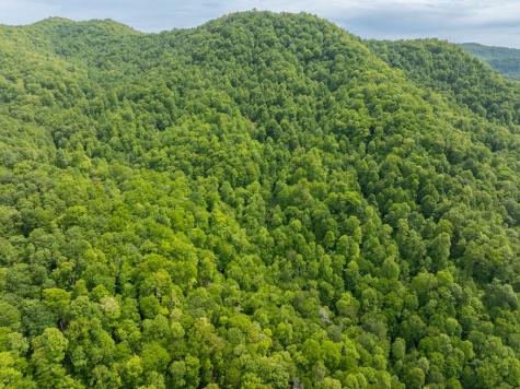 00 Walnut Cove Road Robbinsville NC 28771