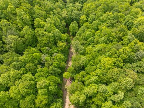 00 Walnut Cove Road Robbinsville NC 28771