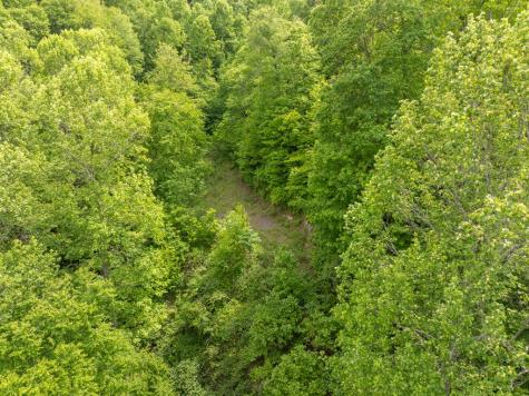 00 Walnut Cove Road Robbinsville NC 28771