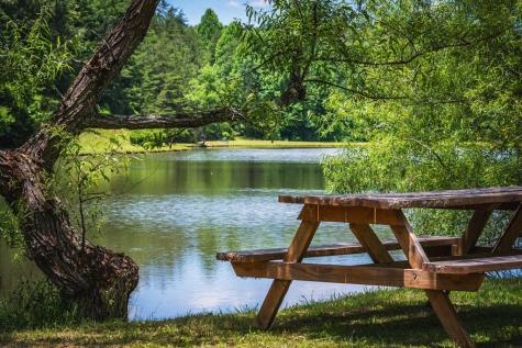 1.57AC Faith Hill Road Mccaysville GA 30555
