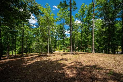 1.57AC Faith Hill Road Mccaysville GA 30555