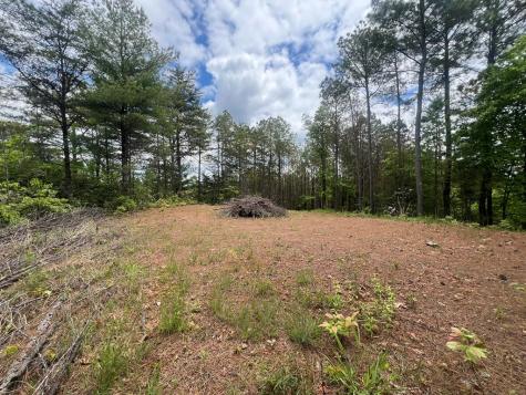 Lot 7 Skyline Drive Turtletown TN 37391
