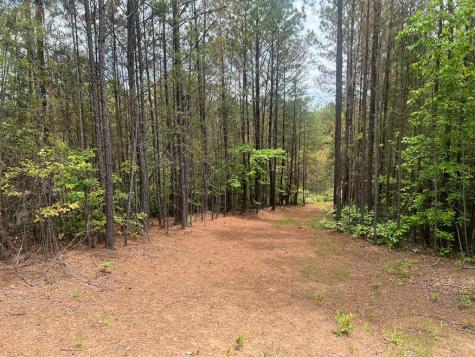 Lot 7 Skyline Drive Turtletown TN 37391