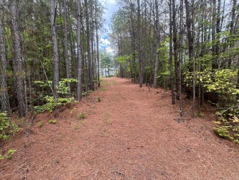 Lot 7 Skyline Drive Turtletown TN 37391
